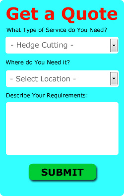 Bishopton Hedge Cutting Quotes