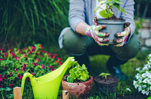 Garden Services York Garden Services York