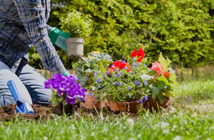 Garden Services Southsea Garden Services Southsea