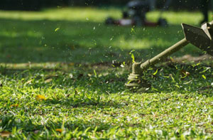 Gardener Flint Gardener Flint Wales