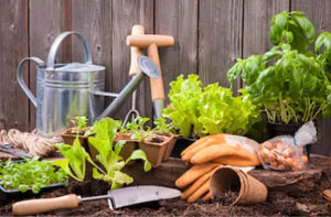 Gardener Chard Chard Gardener