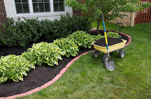 Gardener Cullompton Cullompton Gardener