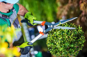 Gardeners Weston-super-Mare UK Gardeners Weston-super-Mare UK
