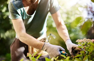 Gardeners Trowbridge Wiltshire (BA14) Gardeners Trowbridge