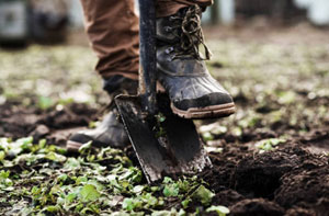 Gardening Services Sunninghill Berkshire Gardening Services Sunninghill Berkshire