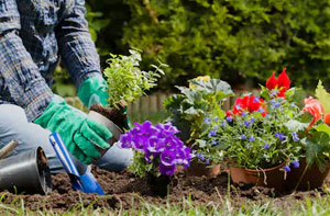 Gardening Services Blackwater Hampshire Gardening Services Blackwater Hampshire