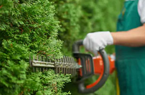 Gardening Services Flint Wales Gardening Services Flint Wales