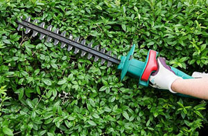 Gardening Services Lowestoft Suffolk Gardening Services Lowestoft Suffolk