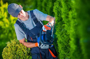 Hedge Cutting Newtownabbey (BT36) Hedge Cutting Newtownabbey (BT36)