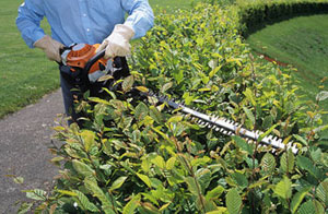 Gardening Services Weston-super-Mare Somerset Gardening Services Weston-super-Mare Somerset