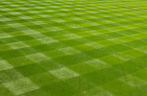 Lawn Care Lawn Care Trowbridge