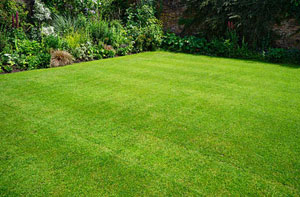 Lawn Care Lawn Care Weston-super-Mare