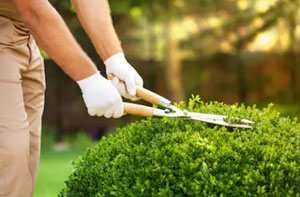 Gardeners Wirksworth UK Gardeners Wirksworth UK