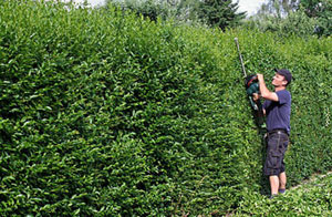 Gardening Services Long Eaton Derbyshire Gardening Services Long Eaton Derbyshire