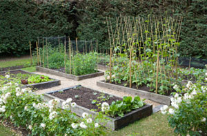 Vegetable Garden Wirksworth Vegetable Garden Wirksworth